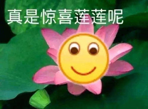 板凳表情包住逻辑