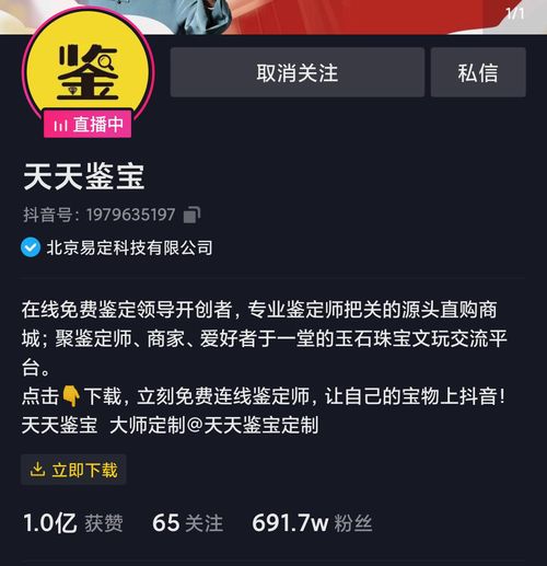  在短视频平台,鉴宝成为了爆红的行为艺术