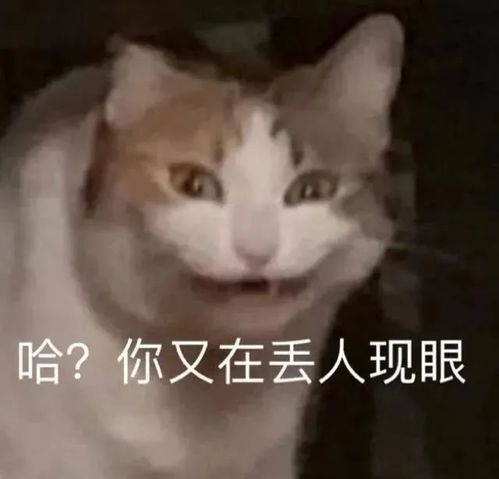  普通人可以跟明星长得有多像好家伙这就是本人吧