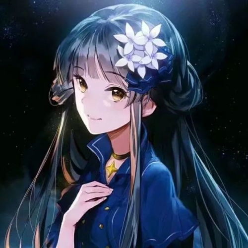  环县吕彩虹雪落无声