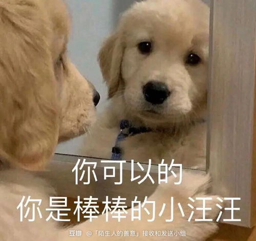 破防表情包沙雕