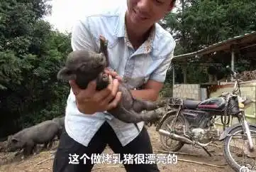 华农兄弟表情包中暑真好
