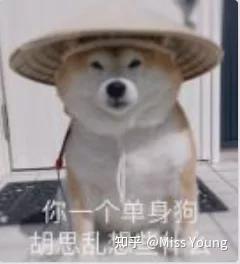  如何评价抖音里的情侣