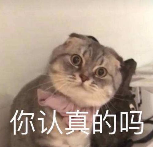  你负责燃烧卡路里,我负责清空购物车