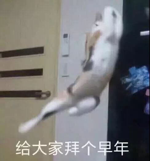  2018春晚的亮点和槽点都在这儿了没看过的也不用尬聊