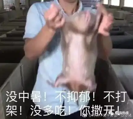  我是一只新来的竹鼠,他们却有一百种吃我的理由