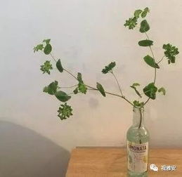  这样的微信聊天记录157万雅安人都该来赞一个