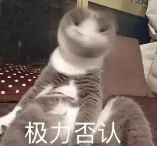  抓住春节的尾巴,踏上新的征程