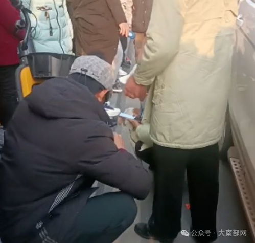  狗被车撞死,南部一女子当街嚎啕大哭