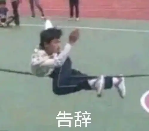 告辞表情包原视频改变命