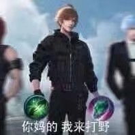  王者荣耀野王专属表情包,带妹就是这么简单