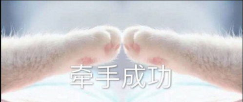 情侣之间的套路表情包发