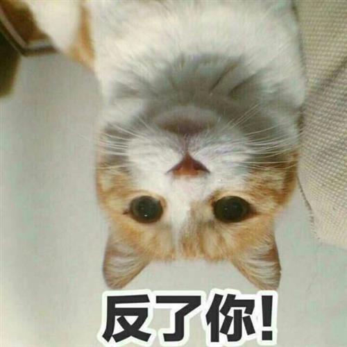  大盘站上3000点无数次却总是走不了太远,这一次能否焊牢在三千以上呢为了安全起见