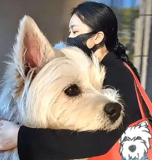  爱犬被毒死后,北京女孩得了抑郁症,辞职学刑法,为狗追凶900天