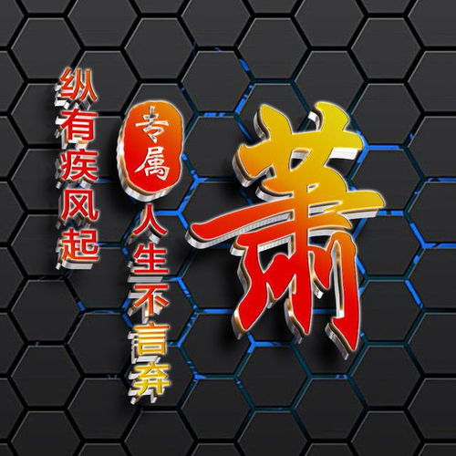  金属立体姓氏头像,一共10张,助你个性更张扬
