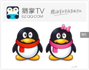  鹅掌tv上线,企鹅也开始手游直播了