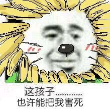 表情包图片搞笑小孩子傻