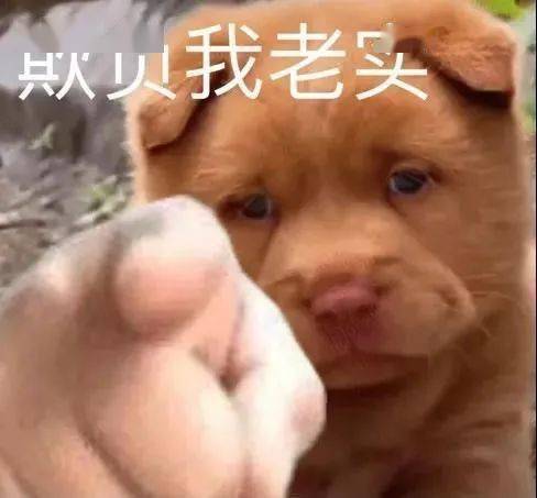  千万不要随便在网上分享灵异事件差点被网友笑死...