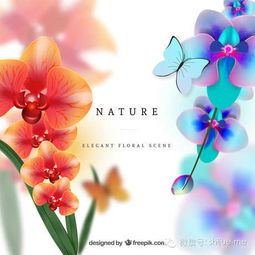  素材推荐感恩节精美花朵合集
