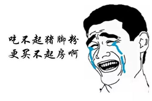 2017年仅剩44天据说有远见的人都在关注这里
