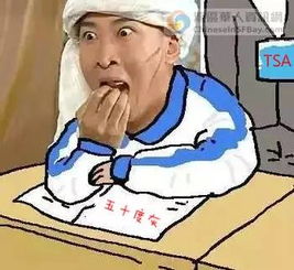  美国机场安检又增项目要单独检查你随身行李里的书