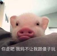  15个撩妹套路话术治得她服服帖帖