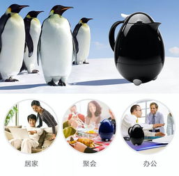 可爱的小企鹅头像