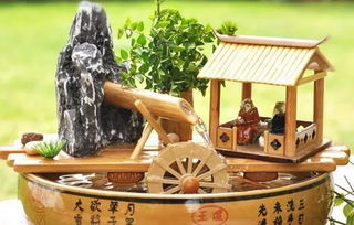  小妙招六招去除装修异味