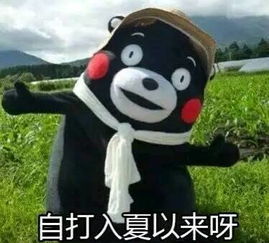  我可以为你戒掉夏天的冷饮