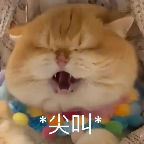  可爱猫咪表情包