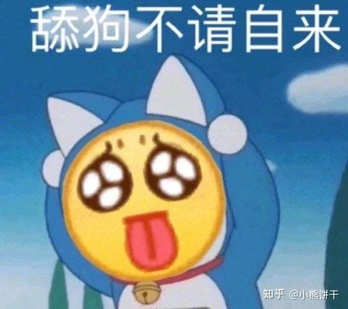 差评回复大全表情包frog