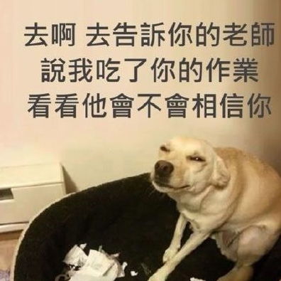  幽默搞笑段子集东北人的秘密全部抖擞出来了,哈哈哈哈
