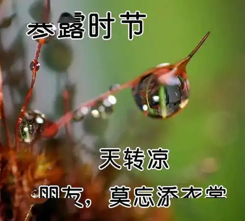  10月8日寒露最漂亮早上好表情图片及早晨好动图美图大全我在等一个陌生人