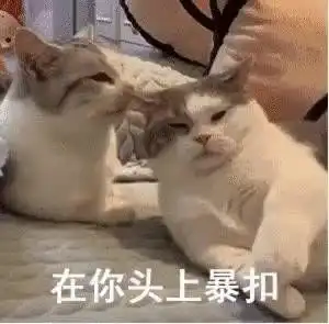  萌宠表情包怎么跟爸爸说话呢这是