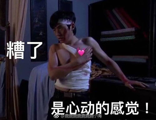  31条让朋友圈人气暴涨的沙雕文案表情包