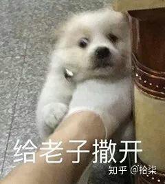  有没有带骚话或者可爱的表情包