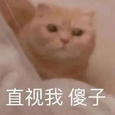  今日份萌萌的表情包来了哟