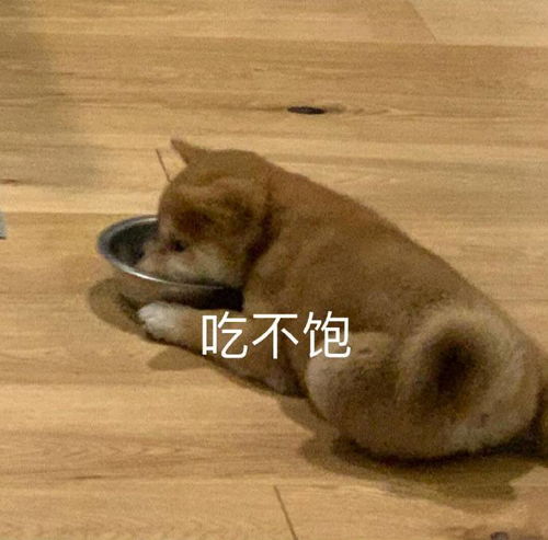  幽默笑话你都快三十的人了,还玩暗恋,有意思吗