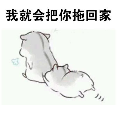  仓鼠表情包做我男朋友,待遇很好的哦