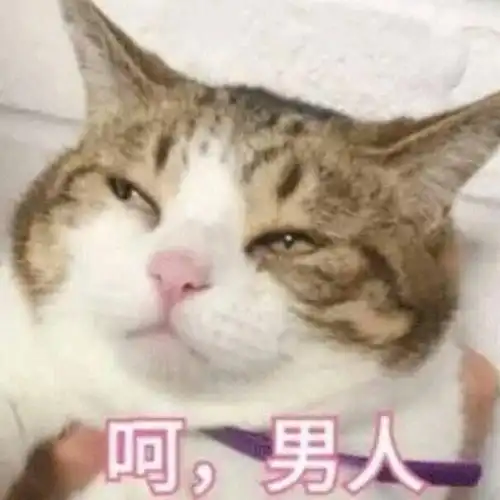  周星驰发律师函轰港姐炒作跟朱茵蓝洁瑛传绯闻,遭前任追7000万,他情史太唏嘘