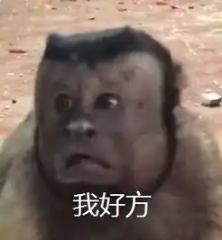  哈哈哈动物园这只猴子自带表情包网友身体里住着人类的灵魂