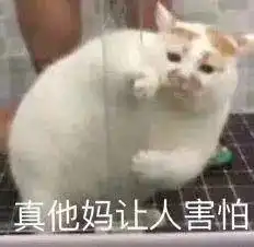  被撩出人命了......意大利血统太可怕了