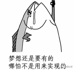  如果荷兰猪没有梦想,那和咸鱼有什么区别