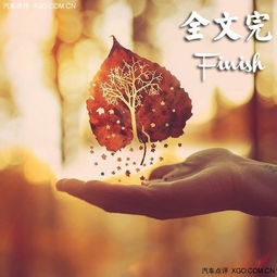  金秋聊聊土豪金汽车史上的金色回忆