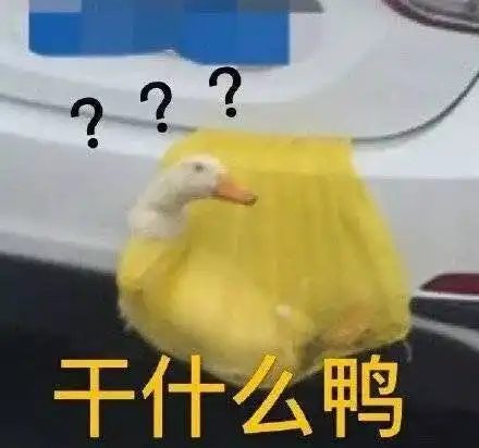  返程后备箱大pk妈妈不仅搬来了整块田,竟然还塞下了一头猪哈哈哈