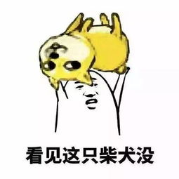  剑指卡罗拉吉利长城争的时候,这家自主品牌已经变海归
