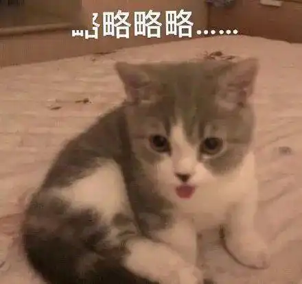  关我毛事