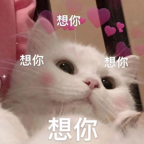 我爱你的表情包动图趣图