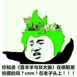  在线收听n荔枝