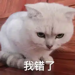 如何做表情包qq情话